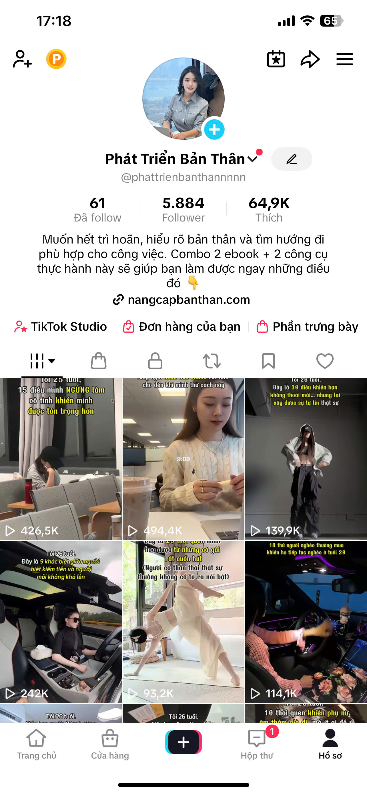 Số liệu TikTok 2
